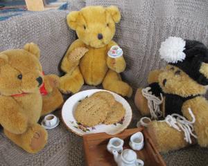 Cabin fever? Teddies take tea and sample homemade digestive biscuits on the recently completed...