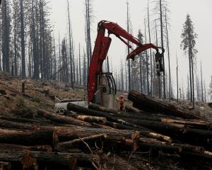 The world lost 258,000sq km of forest in 2020, according to the non-profit World Resources...