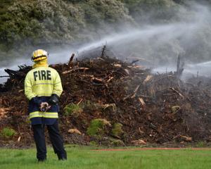 Firefighters dampen down trees at John McGlashan College this morning. PHOTO: PETER MCINTOSH
