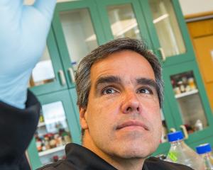 University of Otago researcher Prof Miguel Quinones-Mateu tests the ability of heat and UV light...