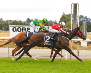 Mackenzie Lad pips Ruby’s Lad in the Gore Guineas on Saturday just seconds before pulling up lame...