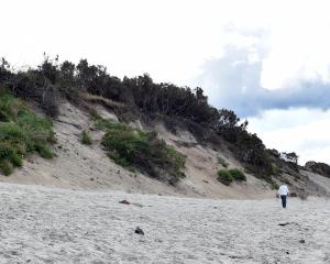 Sand dunes at St Clair beach looking towards St Kilda Beach. PHOTO PETER MCINTOSH