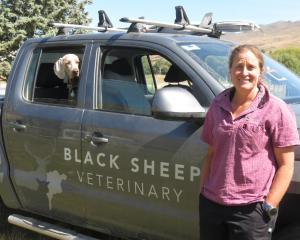 Independent vet Amy Watts, of Black Sheep Veterinary, seen with her dog, Weka, has learned a lot...