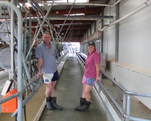 Relief milking is one of the farming jobs Kelvin Cormack and Janelle Davison do to support...
