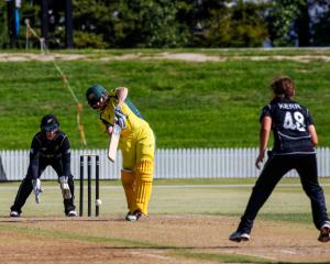 Australia took their response slowly, but found an array of solid contributors. All of their top...