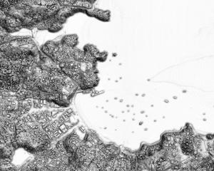 A high-resolution 3-D map which uses Lidar mapping, shows the Oban area of Stewart Island.PHOTO:...