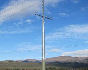 An Aurora Energy power pole in Upper Clutha. PHOTO: ODT FILES