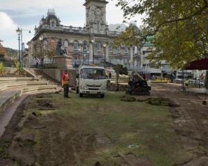 Contractors for the Dunedin City Council replaced turf damaged during the occupation. PHOTO:...