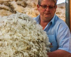Retiring wool-classer Barbara Newton at work in a shed. PHOTO: SUPPLIED