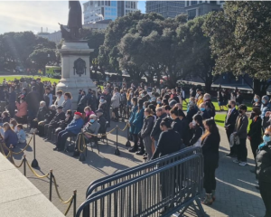 Crowds attend the reopening of Parliament grounds. Photo: RNZ