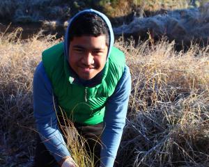 Amana Christian School pupil Jeddy Solofati (12) finds a spot for native plants along the banks...
