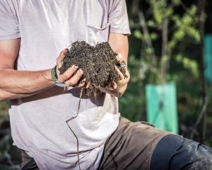 Our soil is 
the most 
complex 
ecosystem on 
the planet. Photo: Si Williams
