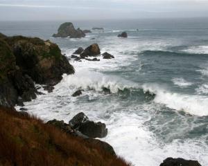 A big swell at Cape Foulwind. Photo by Neville Peat.