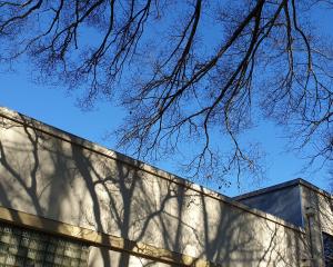Winter branches and Hocken Collections. PHOTOS: ODT FILES