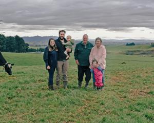 Continuing the Dickie family’s long-established operation at Glenstuart Holstein Friesians stud...