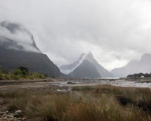 Milford Sound in the southwest of Fiordland National Park. Photo: Getty Images 
