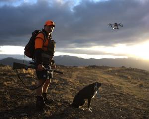 High Country Contracting team leader Stefan Hope and his dog are on the job, following up on...