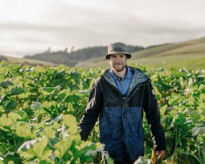 PGG Wrightson seeds forage agronomist Ethan Butcher is loving his job and being the fourth...