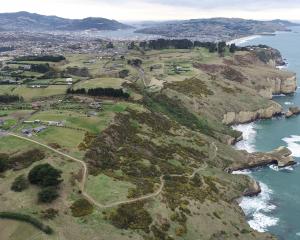 The top of Tunnel Beach Track, about 8km from Dunedin’s city centre, could soon get a car park...