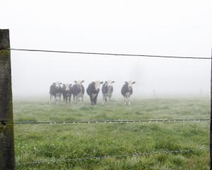 A clearer view of the future of farming involves assessing all options. Photo: NZME