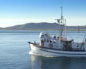 The research vessel Munida on Otago Harbour. Photo: Gerard O'Brien