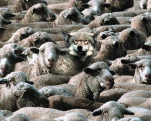 One of these things is not like the others ... Ignoring our suspicions can be fatal. Photo: Getty...