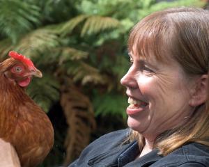 A pet chicken inspired Angela Pope’s play, which is having its premiere at the Dunedin Fringe...