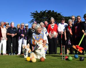 Members of the Tainui Croquet Club look on as Trish Enright, of Mosgiel, hits a croquet ball on...