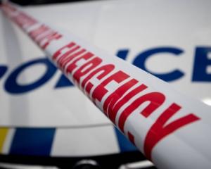 Four youths, aged between 13 and 15, are believed to have stolen a car in Christchurch on...