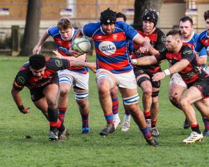 Sydenham lock Caleb Aperahama charges through a gap in the 82-0 win over Christchurch. Photo: B King