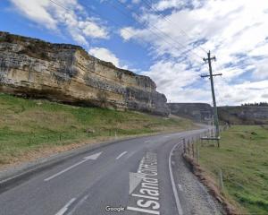 The fall happened in the Island Cliff area in North Otago. Image: Google Maps