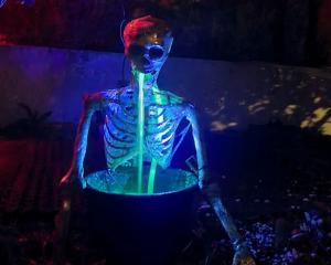 Waiting to take front of stage at Halloween. Photo: Supplied by Sammy Dickinson