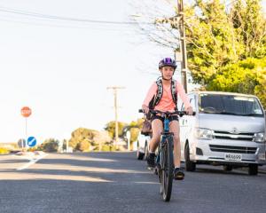 Cycle lanes are among some of the initiatives on hold. Photo: supplied/New Plymouth District Council
