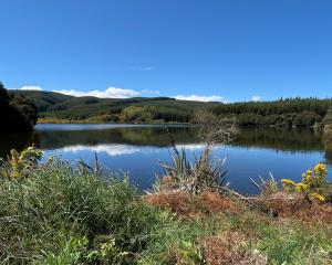 The Phoenix Dam, above Lawrence, is undergoing remedial drainage to address safety concerns....