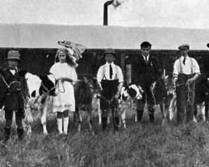 Children with their heifer calf entries at the North Otago A and P Show. — Otago Witness, 27.11.1923