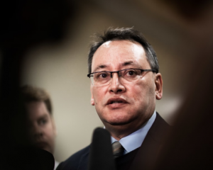 Health Minister Shane Reti. Photo: RNZ  