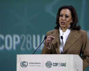 US Vice President Kamala Harris told the UN climate talks that countries "must make up for lost...