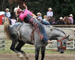 Oamaru’s Ryan Adam rides bareback in the Waikouaiti Rodeo on New Year’s Day. PHOTOS: ALLIED PRESS...