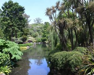 The Dunedin Botanic Garden duck pond is a favourite. Photo: Linda Robertson