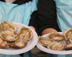 The Bluff oyster festival is set to return next year after consent was given for demolition of...