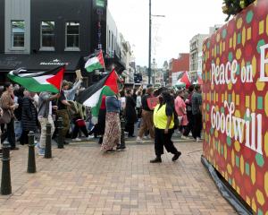 Demonstrators calling for an immediate ceasefire in Gaza walk through the Octagon, in Dunedin, on...