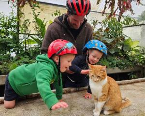 Ari, Ben and Lochie Jagger with Junior in Queens Park's winter gardens. Photo: Johannah Jagger