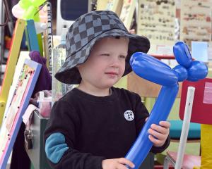 Hudson Murray, 3, of Mosgiel, admirers a balloon sausage dog made for him by Normal the clown at...