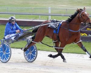 Millwood Nike is out of Sunday's Tennant Engineering New Zealand Pacing Oaks. Photo: HRNZ