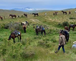 A recent horse trek in Otematata raised more than $17,000 for the Otago Southland Rescue...