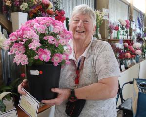 Carolyn Bailey, of Winton, holds a pelargonium she grew from a cutting, which received first...