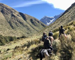 Wairio Hack Club members ride horses to Beech and Cowshed huts to restore horse paddocks in the...