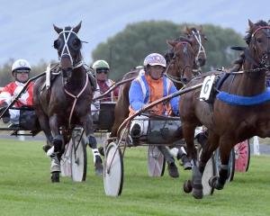 The finish of the Dunedin Trotting Cup at Wingatui on Friday night. PHOTO: PETER MCINTOSH