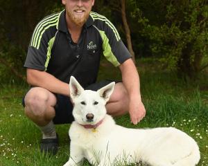 Dunedin landscaper Marnix Leatham relaxes with his shepsky (a cross between a German shepherd and...