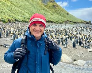 Michael Snedic flanked by king penguins on Macquarie Island. PHOTO: SUPPLIED